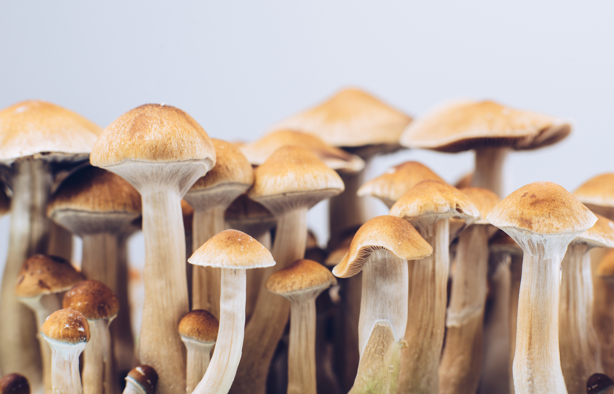 The Role of Set and Setting in Psychedelic Experiences