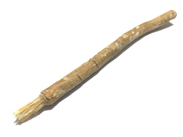 Miswak Magic: Elevate Your Oral Care with Our Miswak Toothbrush