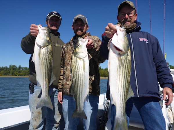 Hooked on Excellence: Choose #1 Lake Texoma Fishing Guides!