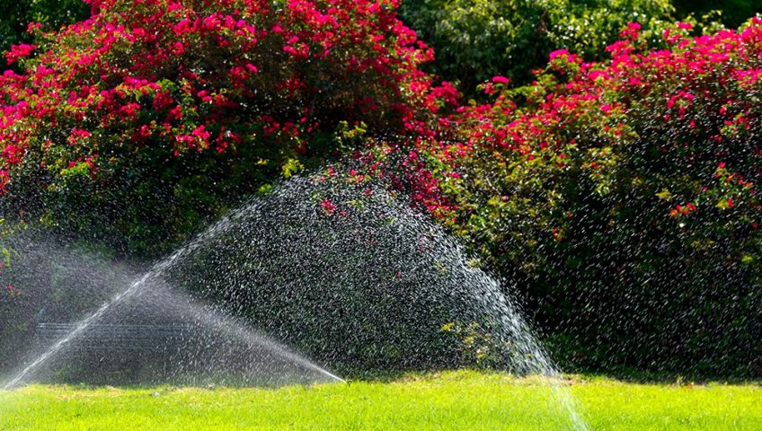 Sprinkler repair brea ca Mastery: Transforming Your Yard’s Health