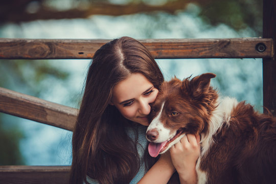Paw-sitive Bonds: A Journey of a Lifelong Dog Lover