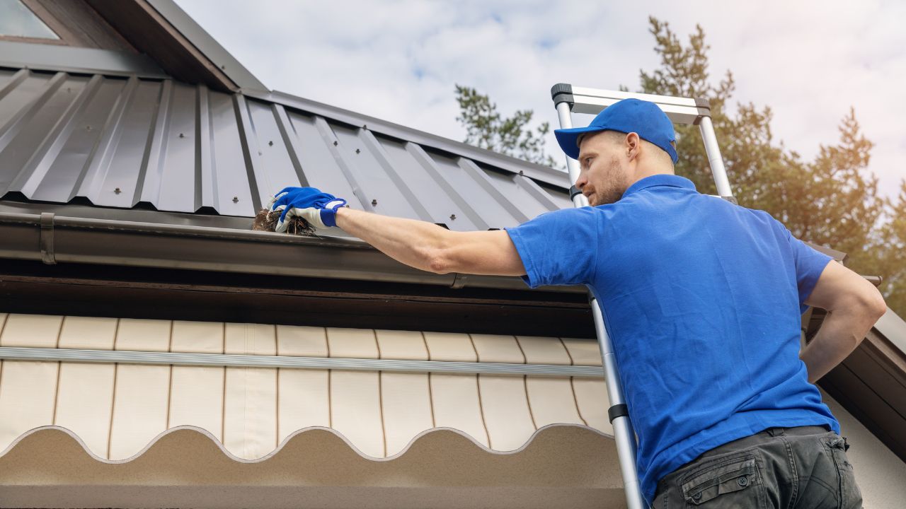 Affordable Gutter Cleaning Geelong Solutions | Geelong Gutter Cleaning